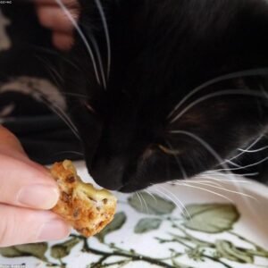 cheese toasty castino
